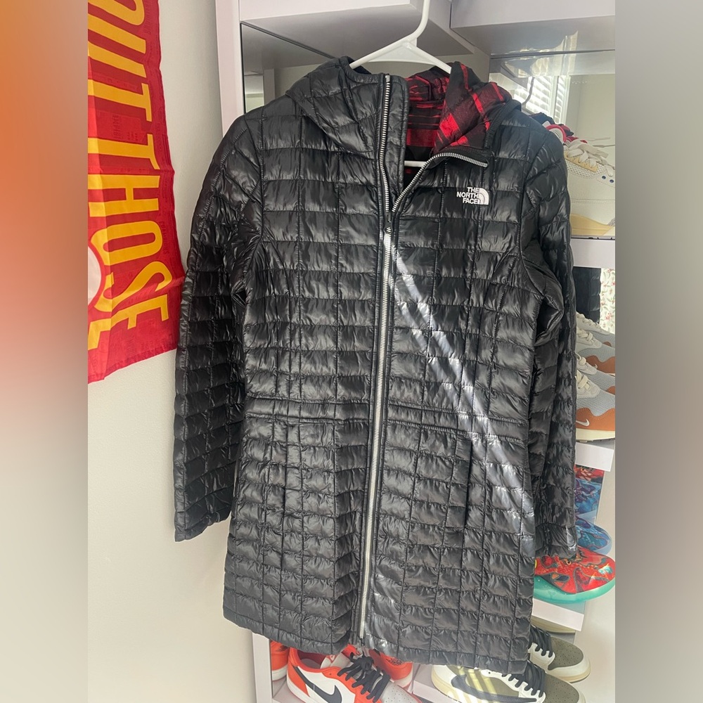 The North Face Black Hooded Puffer Coat